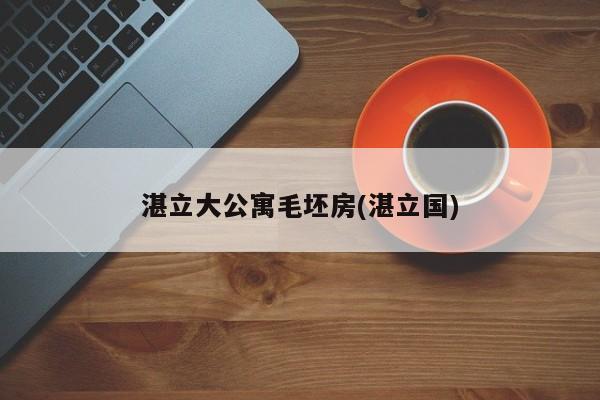 湛立大公寓毛坯房(湛立国)