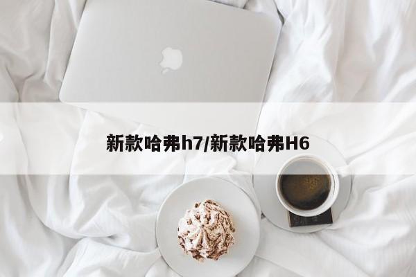 新款哈弗h7/新款哈弗H6