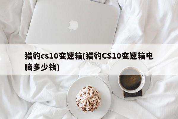 猎豹cs10变速箱(猎豹CS10变速箱电脑多少钱)
