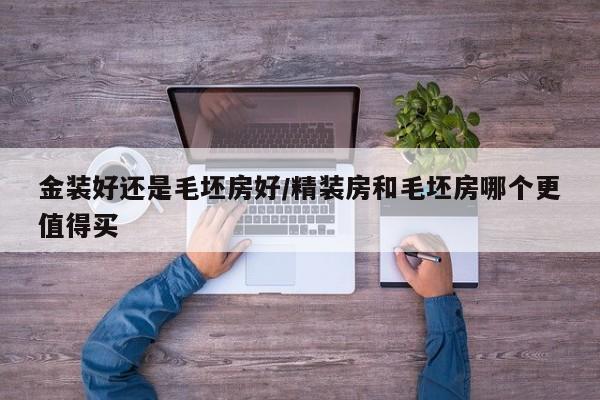 金装好还是毛坯房好/精装房和毛坯房哪个更值得买