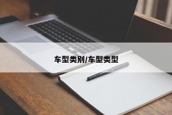 车型类别/车型类型