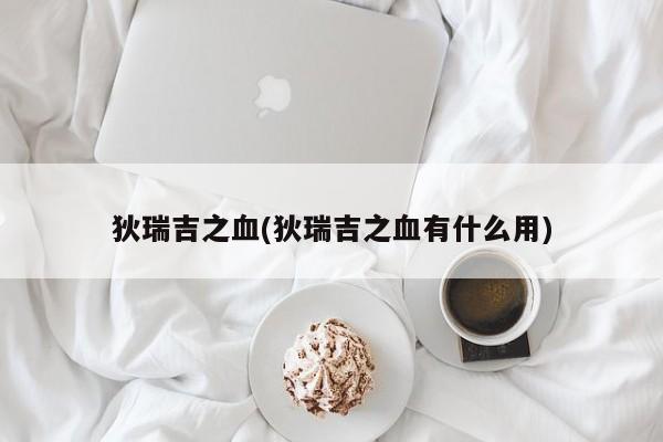 狄瑞吉之血(狄瑞吉之血有什么用)