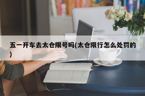 五一开车去太仓限号吗(太仓限行怎么处罚的)