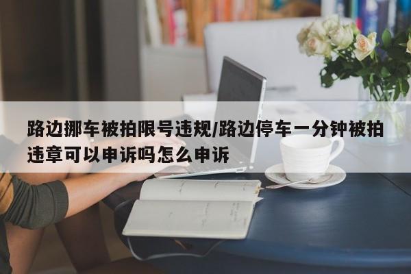 路边挪车被拍限号违规/路边停车一分钟被拍违章可以申诉吗怎么申诉