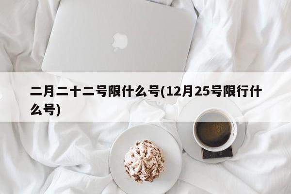 二月二十二号限什么号(12月25号限行什么号)